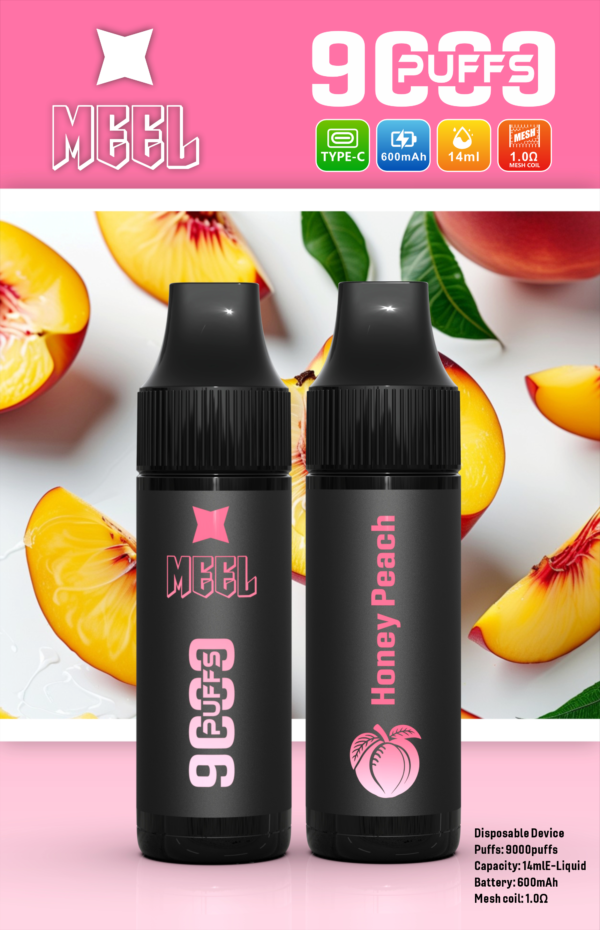 【Meel 9000口拋棄式】 新款puffs電子煙 9種口味｜美滋滋糖果屋