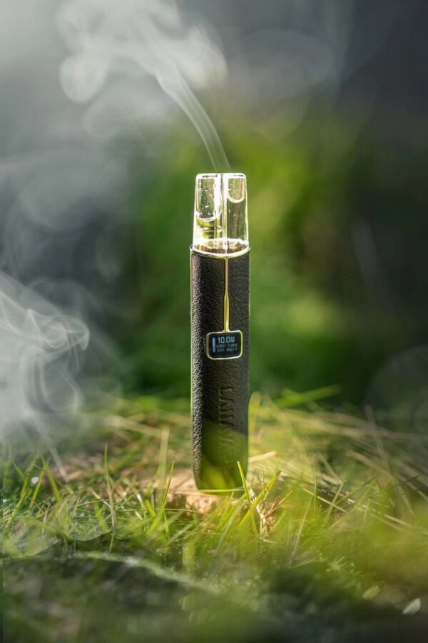 【LANA高級皮革主機】 兩檔調節8/10W 一代煙彈通用｜美滋滋糖果屋