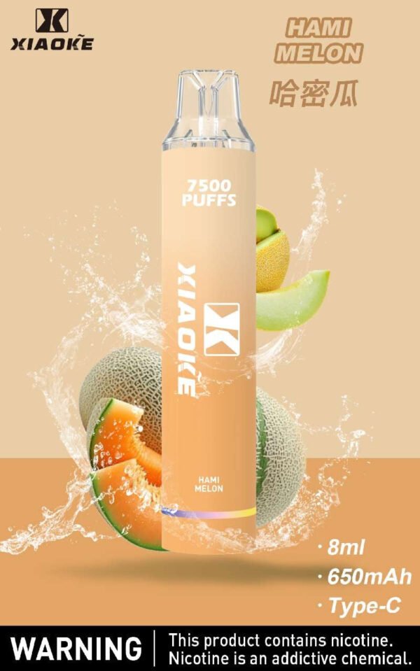 【XIAOKE梟客拋棄式】 新款一次性發光電子煙 多種口味電子霧化棒｜美滋滋糖果屋