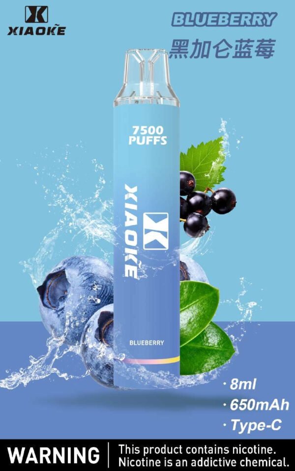 【XIAOKE梟客拋棄式】 新款一次性發光電子煙 多種口味電子霧化棒｜美滋滋糖果屋