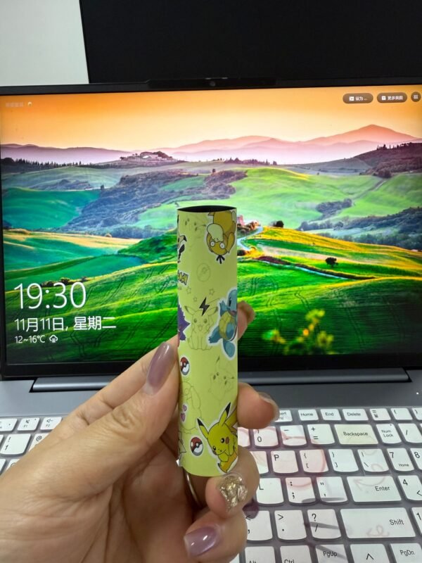 【HEAT喜貝限定聯名款】Labubu拉布布電子煙主機-多種卡通圖案選擇-通用一代設備｜美滋滋糖果屋