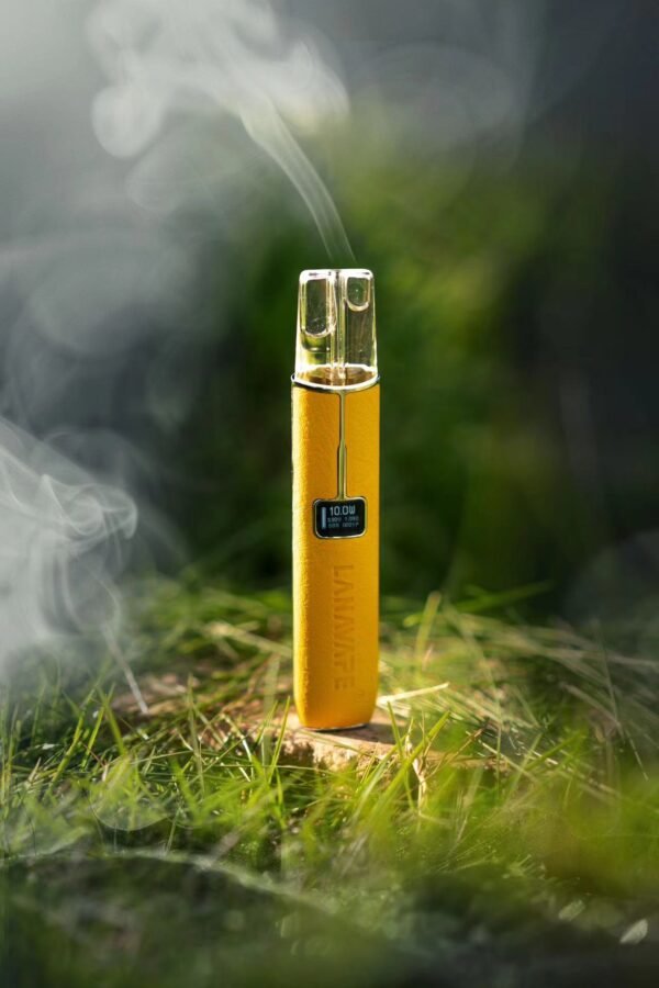 【LANA高級皮革主機】 兩檔調節8/10W 一代煙彈通用｜美滋滋糖果屋