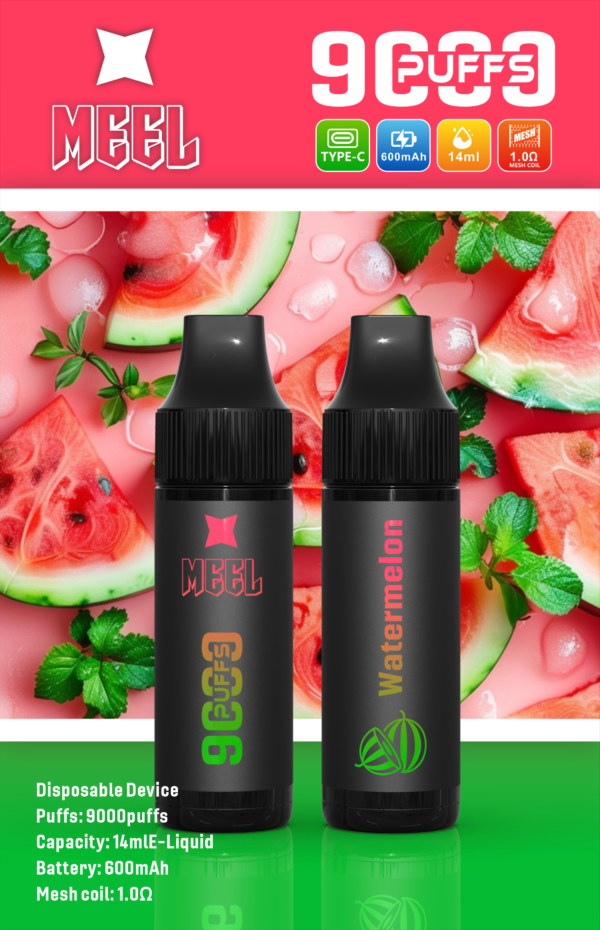 【Meel 9000口拋棄式】 新款puffs電子煙 9種口味｜美滋滋糖果屋