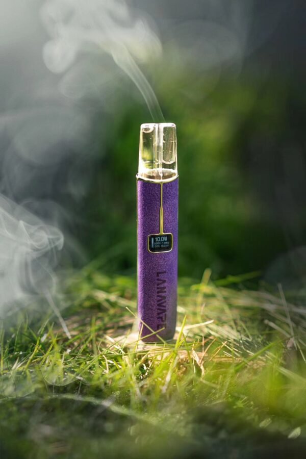 【LANA高級皮革主機】 兩檔調節8/10W 一代煙彈通用｜美滋滋糖果屋